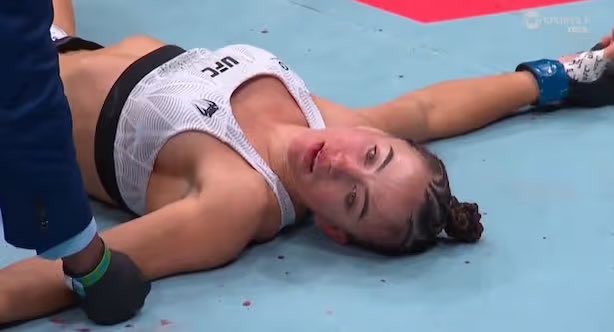 The Pirate tweet media