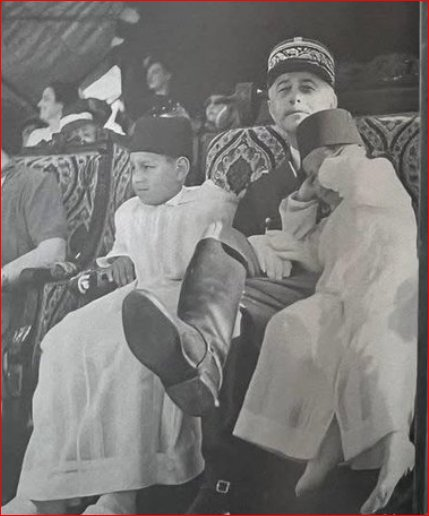 ♞🇩🇿 tweet media