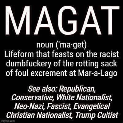 notstupidenoughtobeMAGA🐛 tweet media