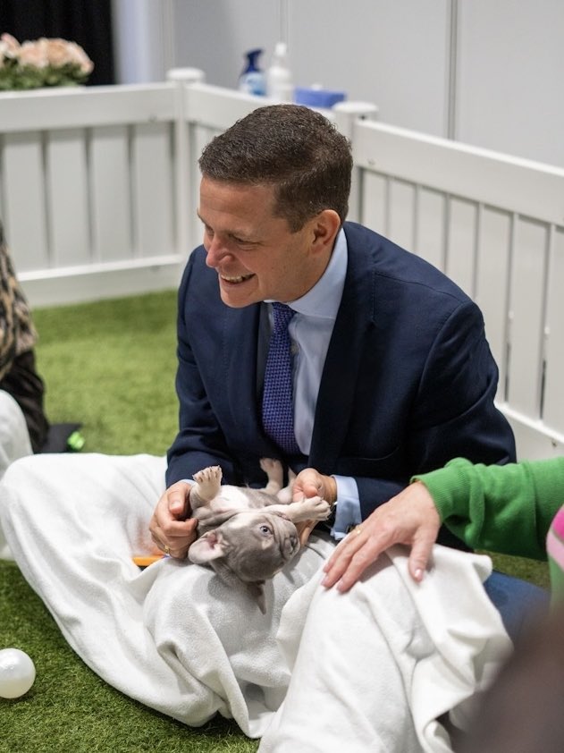BUSAPAR3's tweet image. Puppy 🐶 therapy - taking care of my wellbeing and it doesn’t get any better than this @pawsinwork #pawsinwork 🐾 #therapy #wellbeing #puppy #dogs