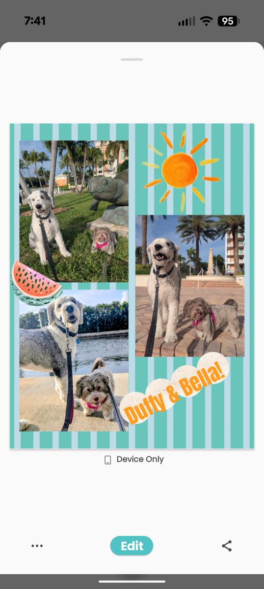 GoodDog561's tweet image. Duffy &amp;amp; Bella are besties and live their walks together! #petsitter #dogwalker #dogsitter #lantanaflorida #vacations