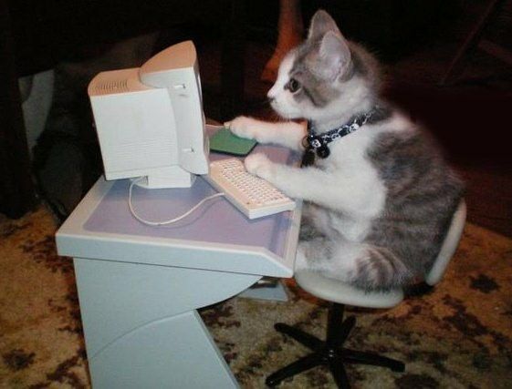 Капитан, не рыба 👁️ #darkwoke tweet media