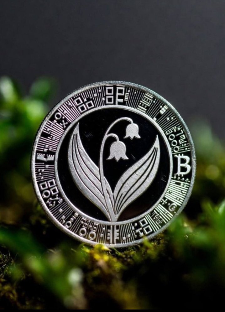 Elena of Web3 👑🧠💻 tweet media