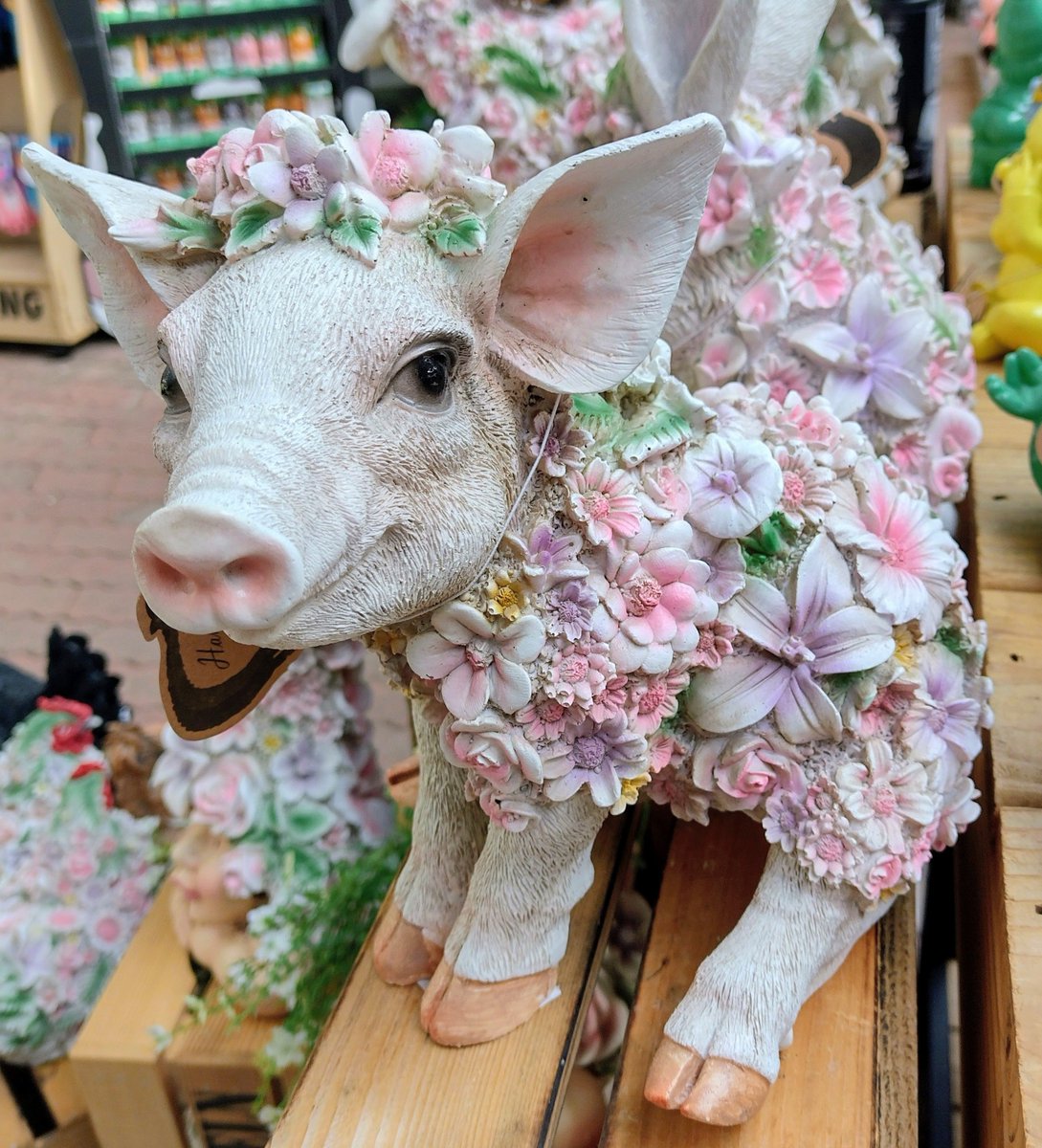 Fuchsi_beyond_Funny tweet media