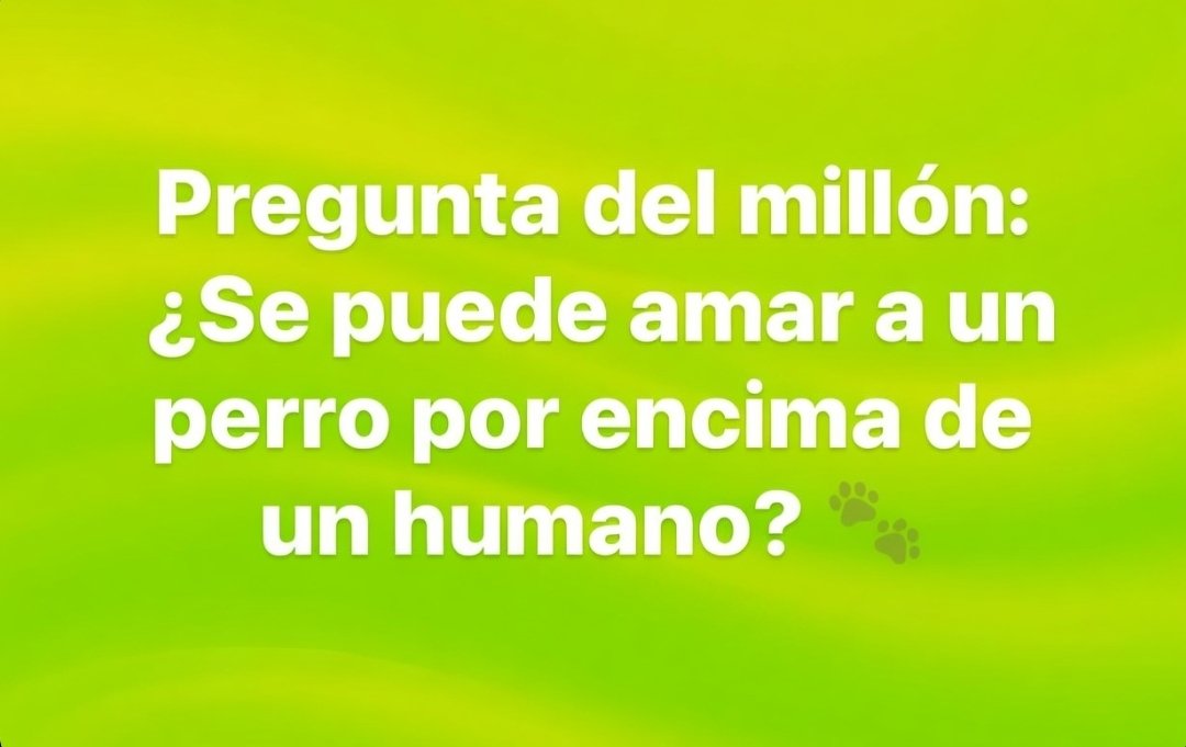 Fresa 🍓 tweet media