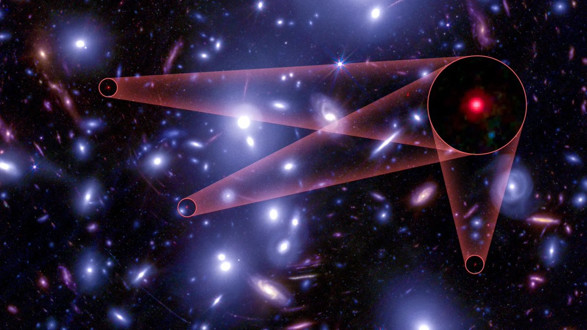 The Curious Tales tweet media