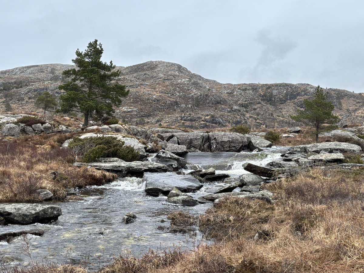 Minawawa 💫 tweet media