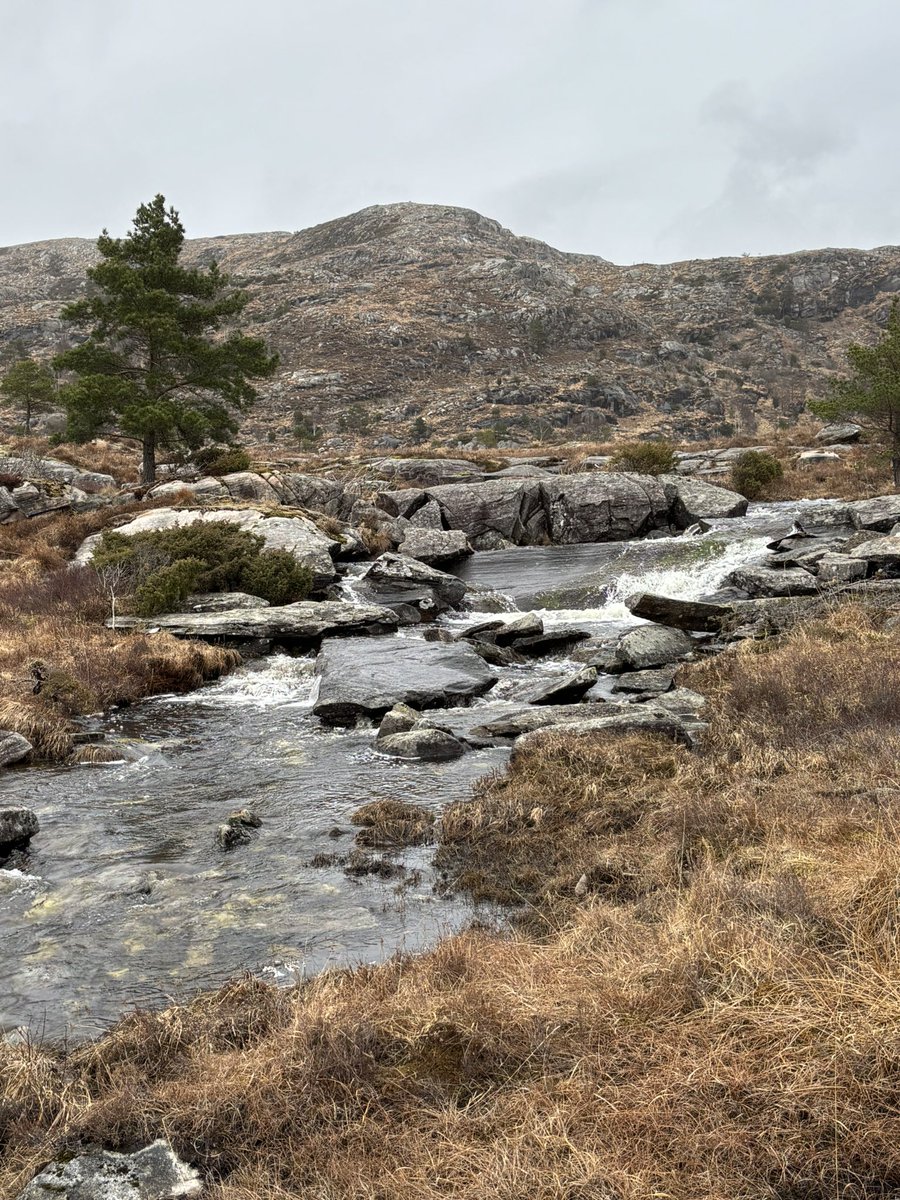 Minawawa 💫 tweet media