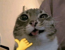 Eri (tú) - EyE 🖤🌸 tweet media