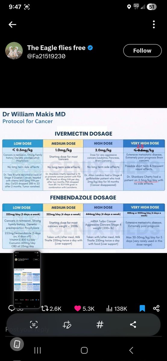 Sensei the Great Chiweenie tweet media