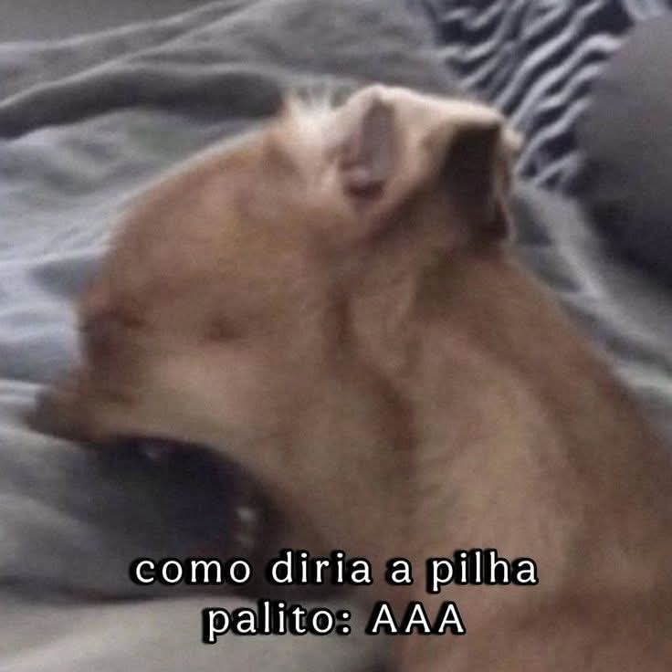 WalliCesar tweet media