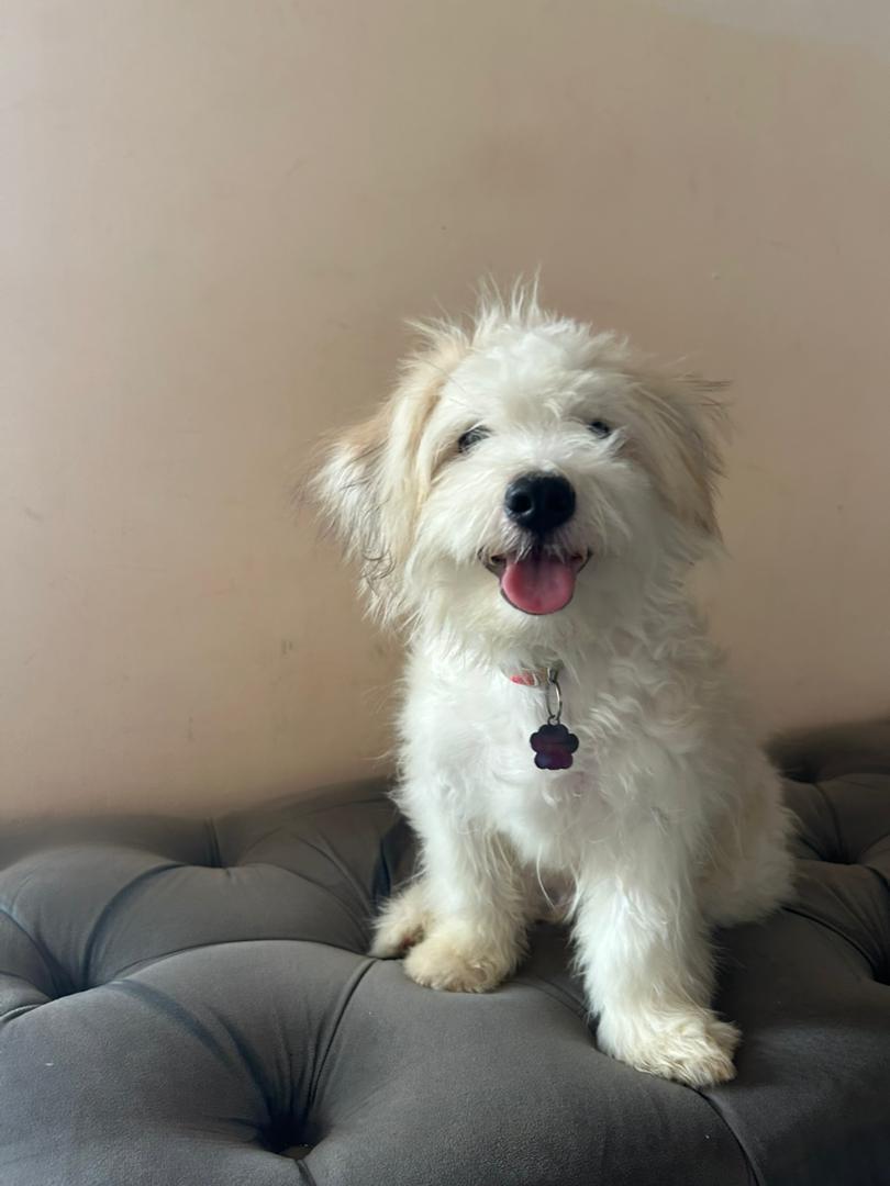 Onyenekwe chidera tweet media