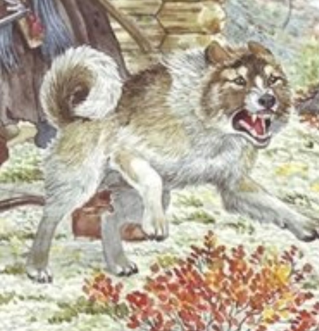 Enter42069 tweet media