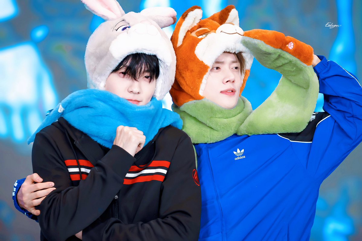 Eirlys·0319x0601 tweet media