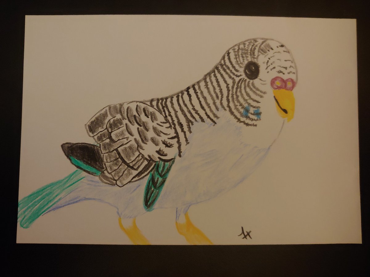 Fred Tyre tweet media