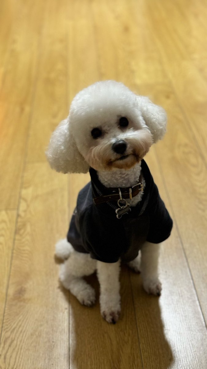 Angel Estrella tweet media