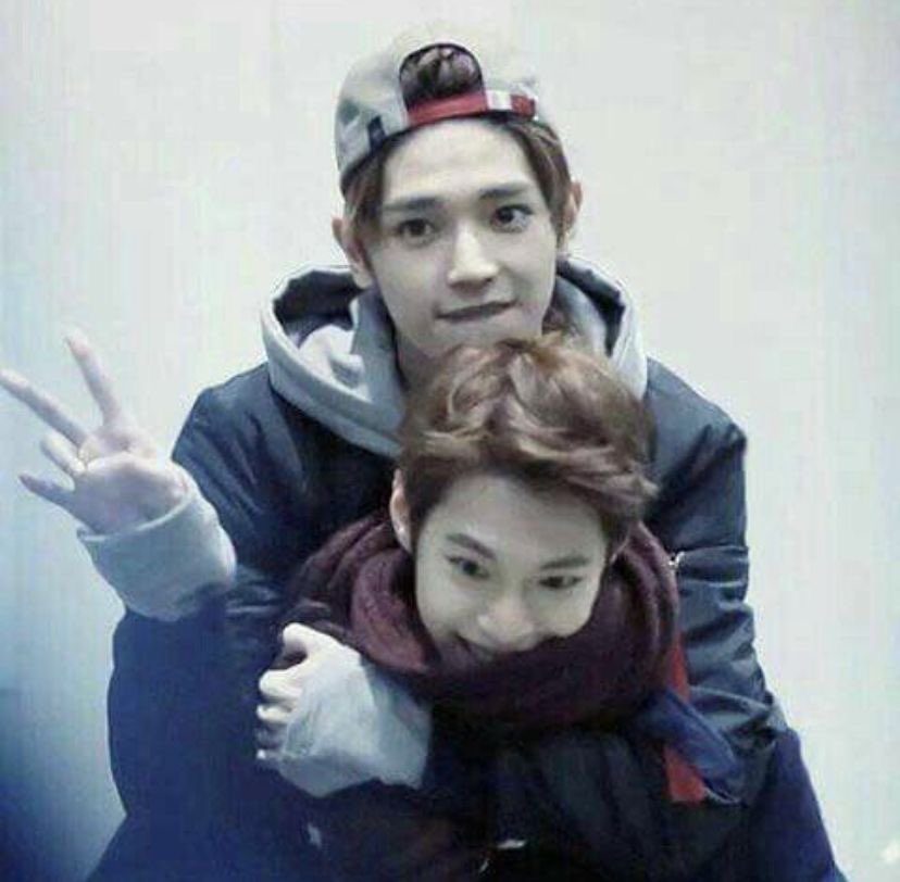 🫳🐈‍⬛ new acc 📌 tweet media