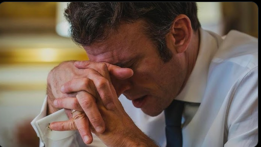 M.O.D.A.F.O.K.A tweet media