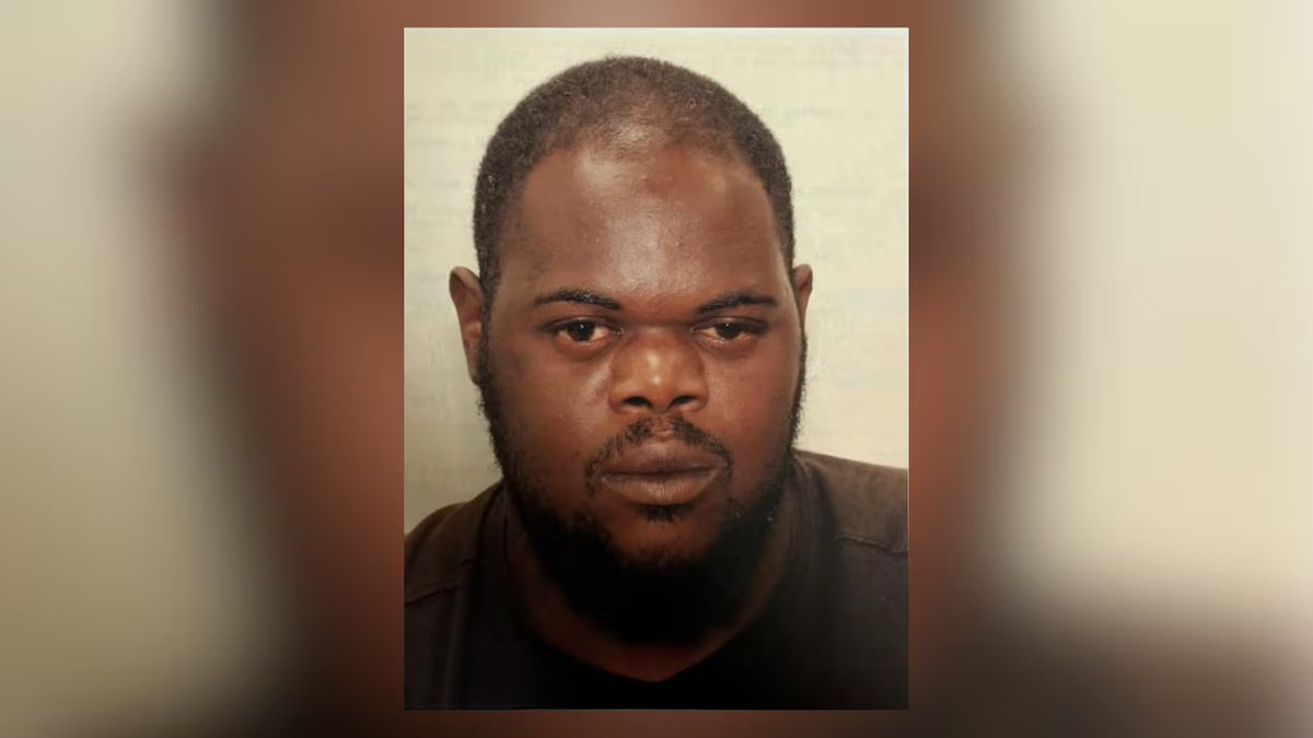 Everything Georgia tweet media