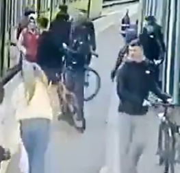 Logic Over Feelings 🇨🇦 tweet media