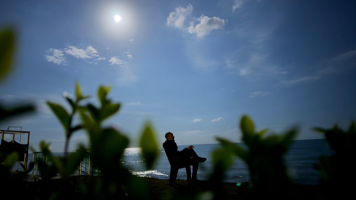 Melón Şapka... tweet media