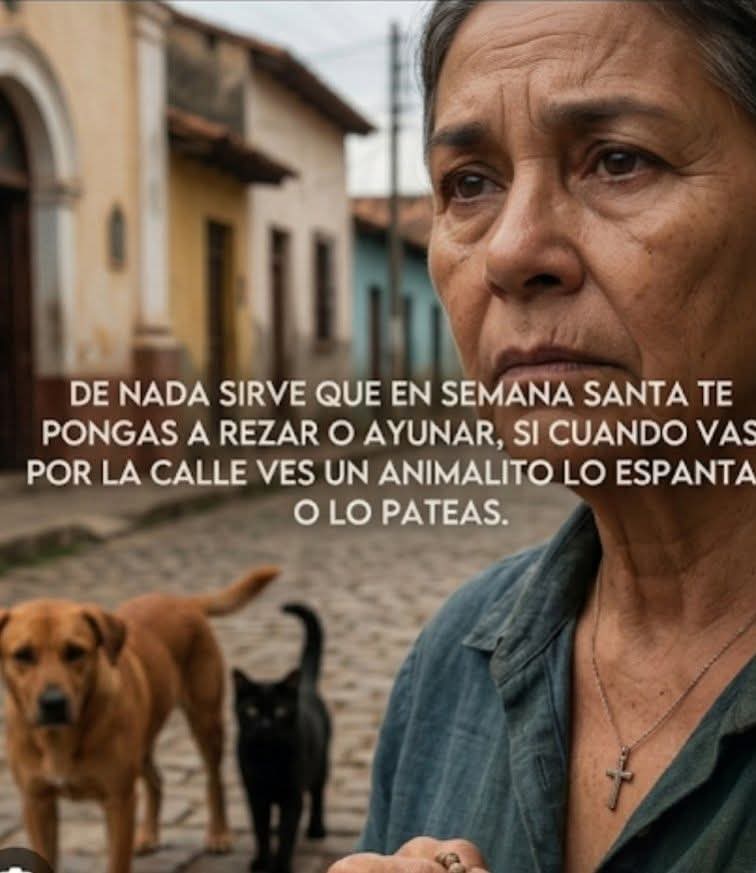 Guate Unida por los Animales tweet media