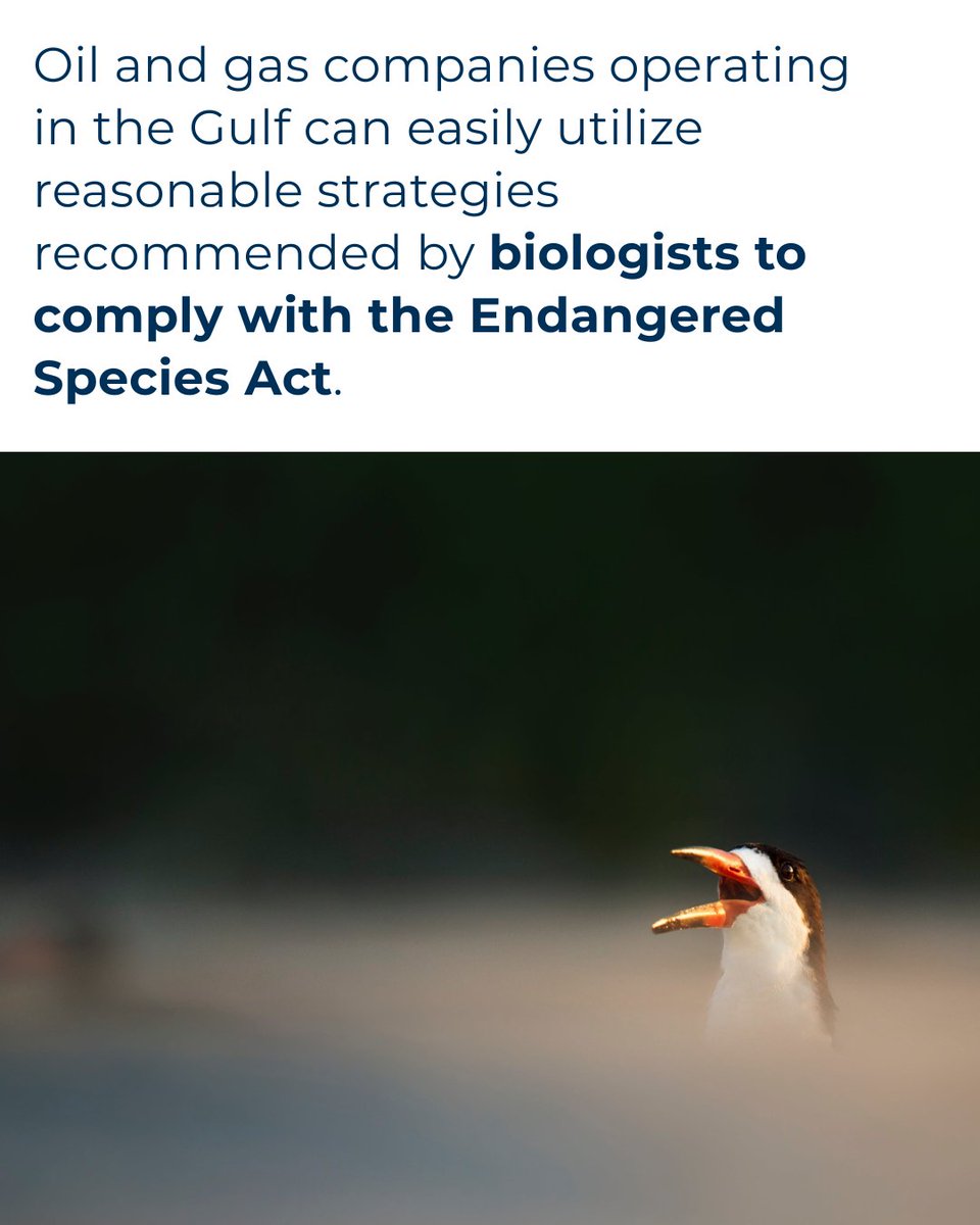 National Wildlife Federation tweet media