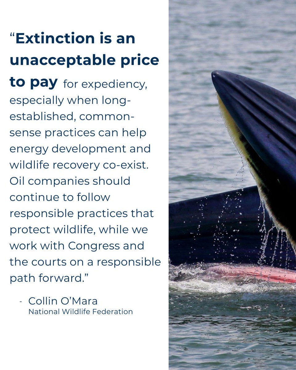 National Wildlife Federation tweet media