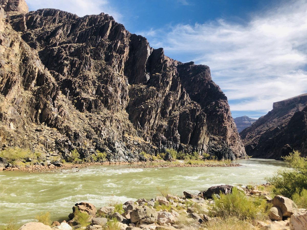 eileen dover tweet media