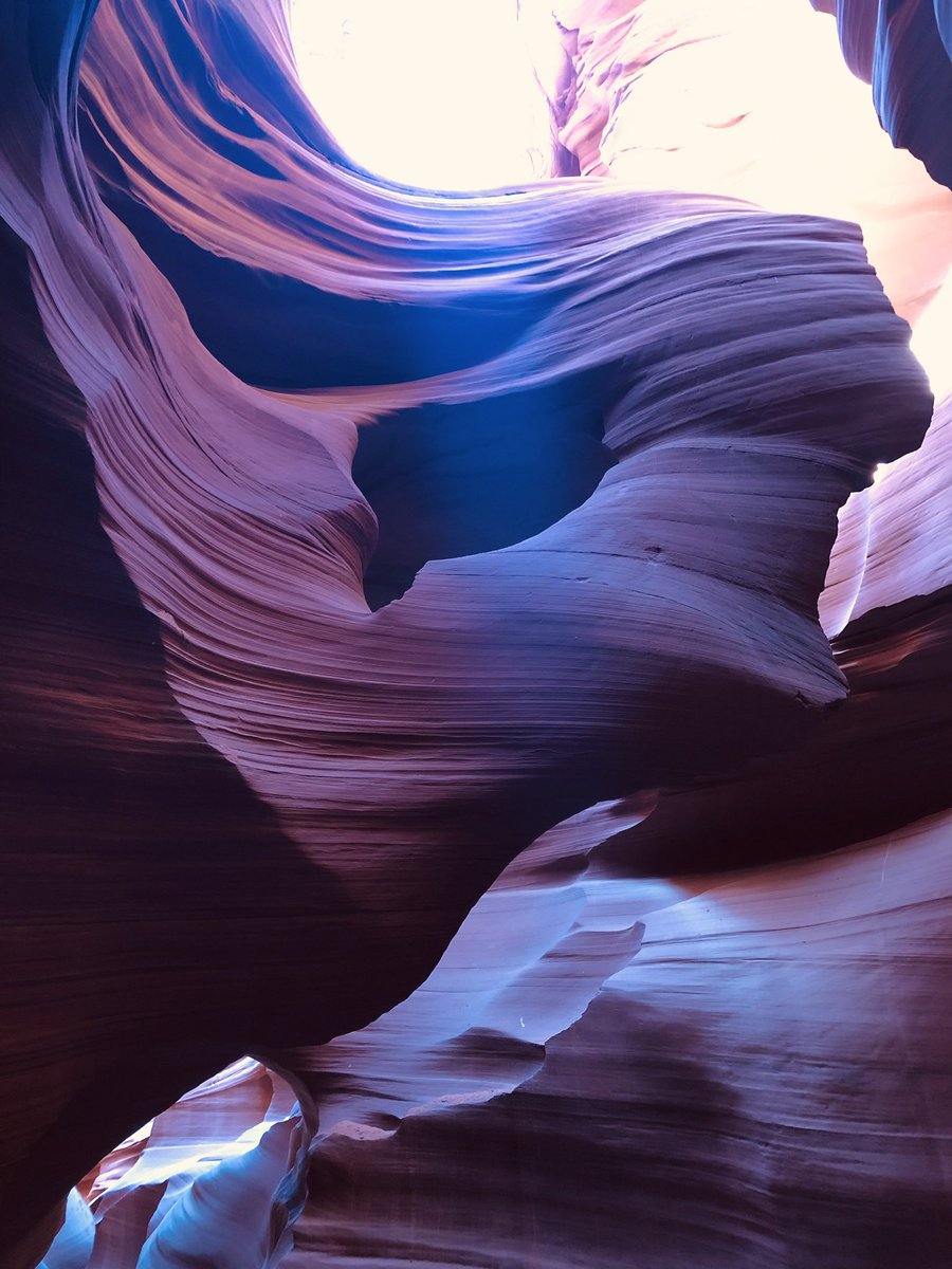 eileen dover tweet media