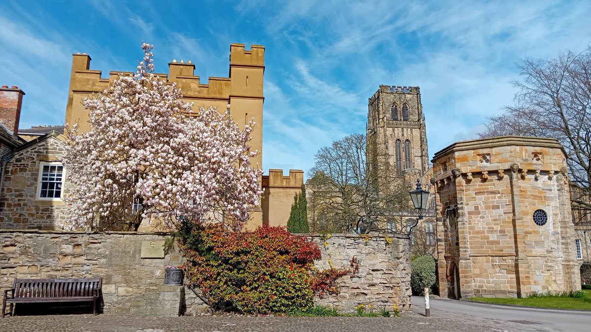 Dr. Sanjee Perera tweet media