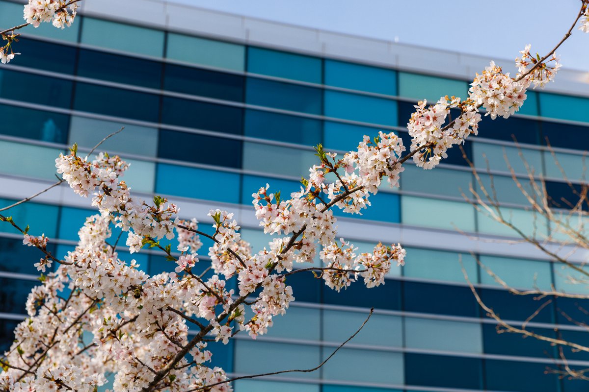 Bowie State University tweet media