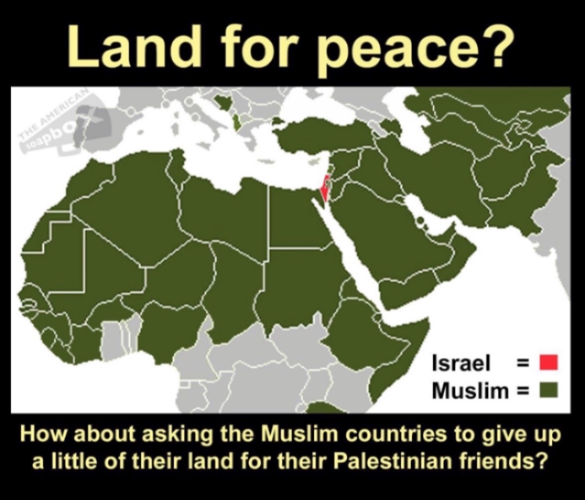 SoCalG 🇺🇸✡️🇺🇸 tweet media