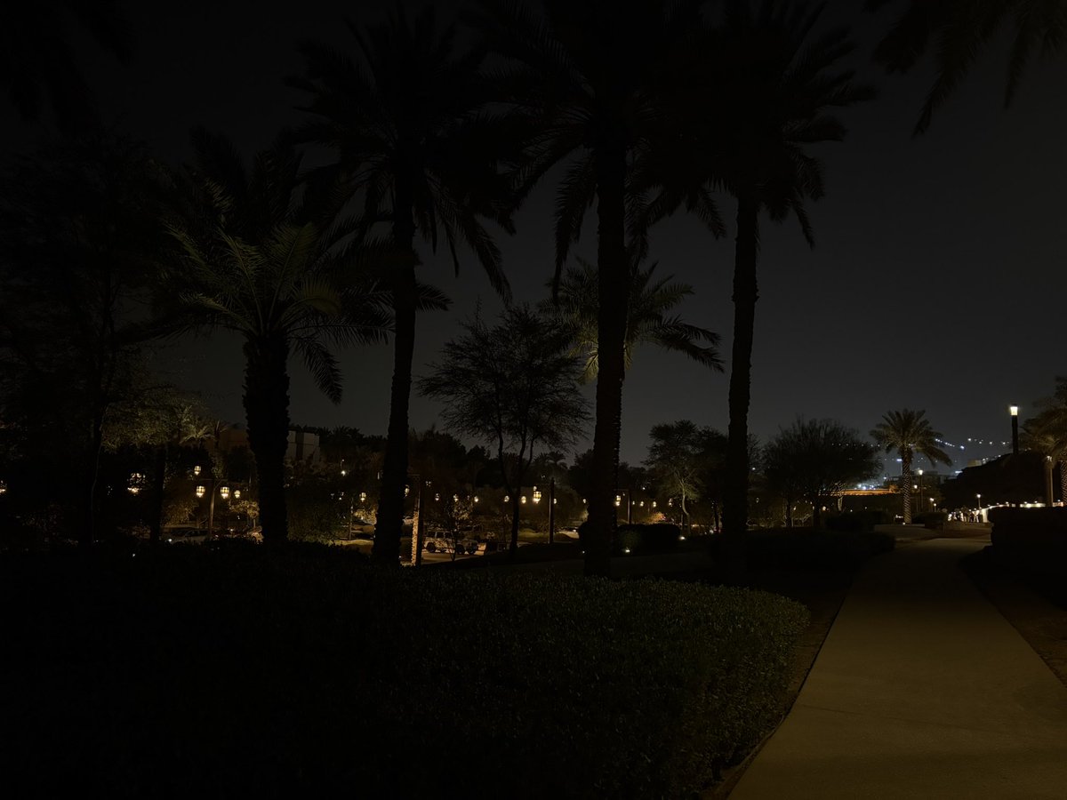 Ohud Alharbi tweet media