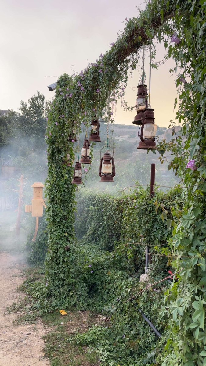 كوخ الضباب للنزل الريفية tweet media