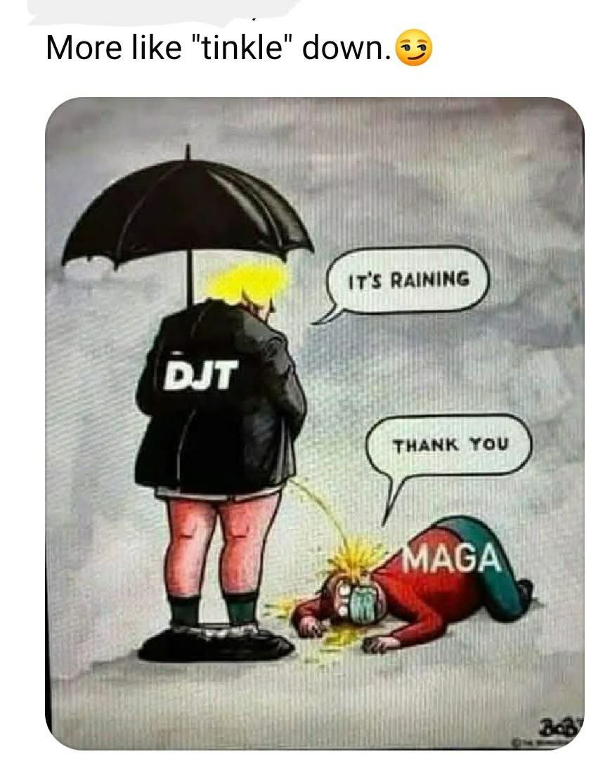 notstupidenoughtobeMAGA🐛 tweet media