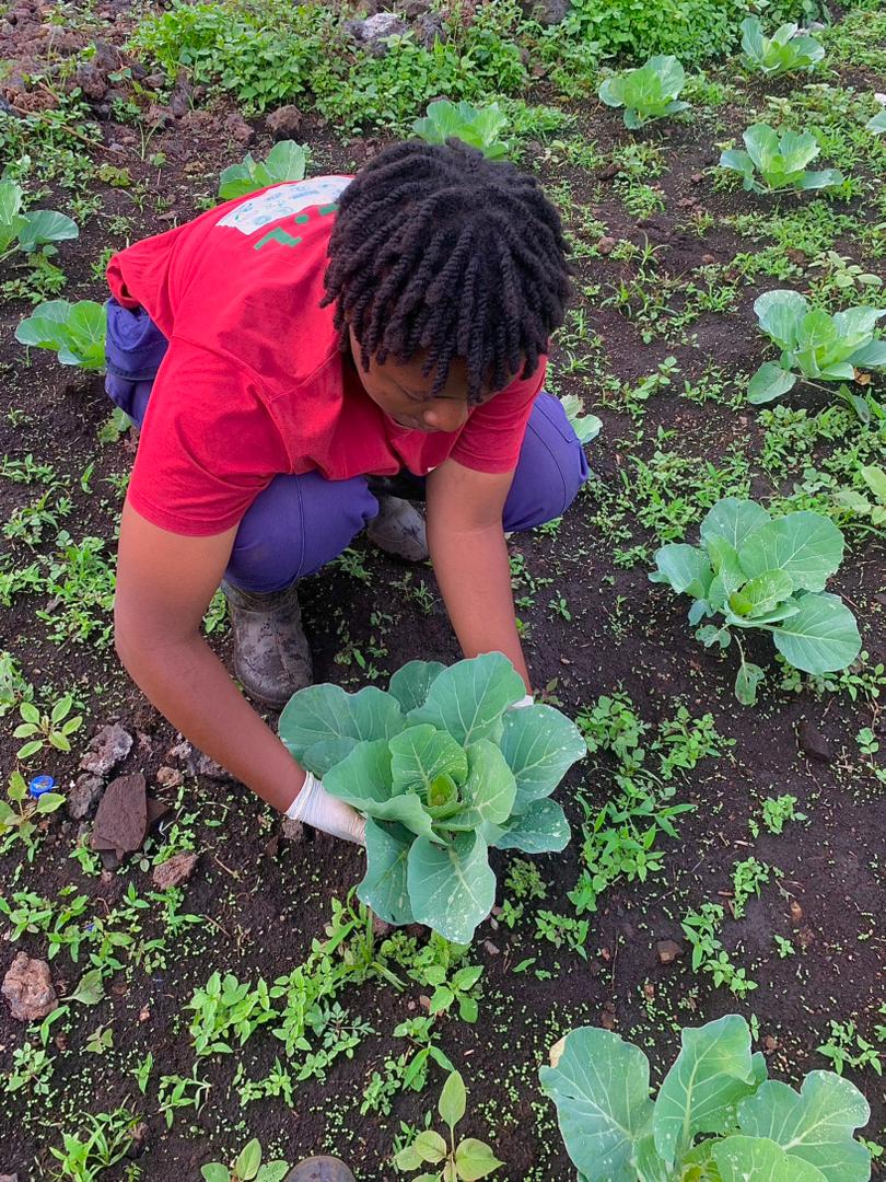 beunigom's tweet photo. Madame Divine est actuellement une deuxième année de licence en sciences agronomiques  « La lutte contre le changement climatique ne doit pas se limiter à la célébration du mois de la femme, mais elle doit devenir un mode de vie, transmis de génération en génération », https://t.co/krS745FMCo
