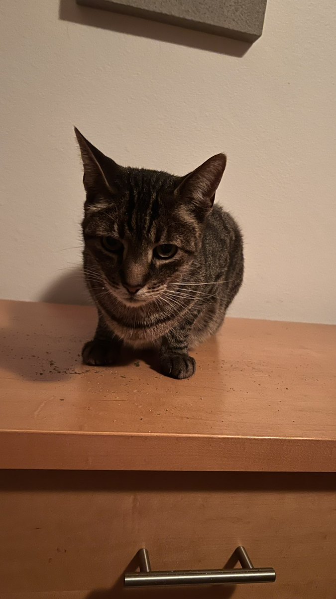 Gabrielle Boyle tweet media