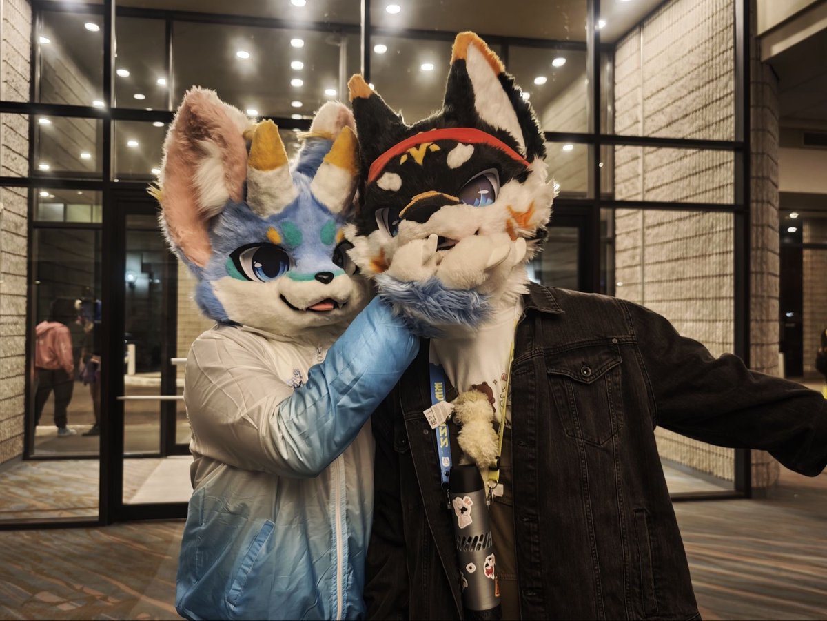 汪仔雪饼 tweet media