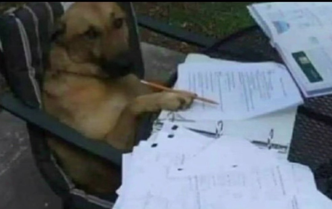 Felfel🌶️ tweet media