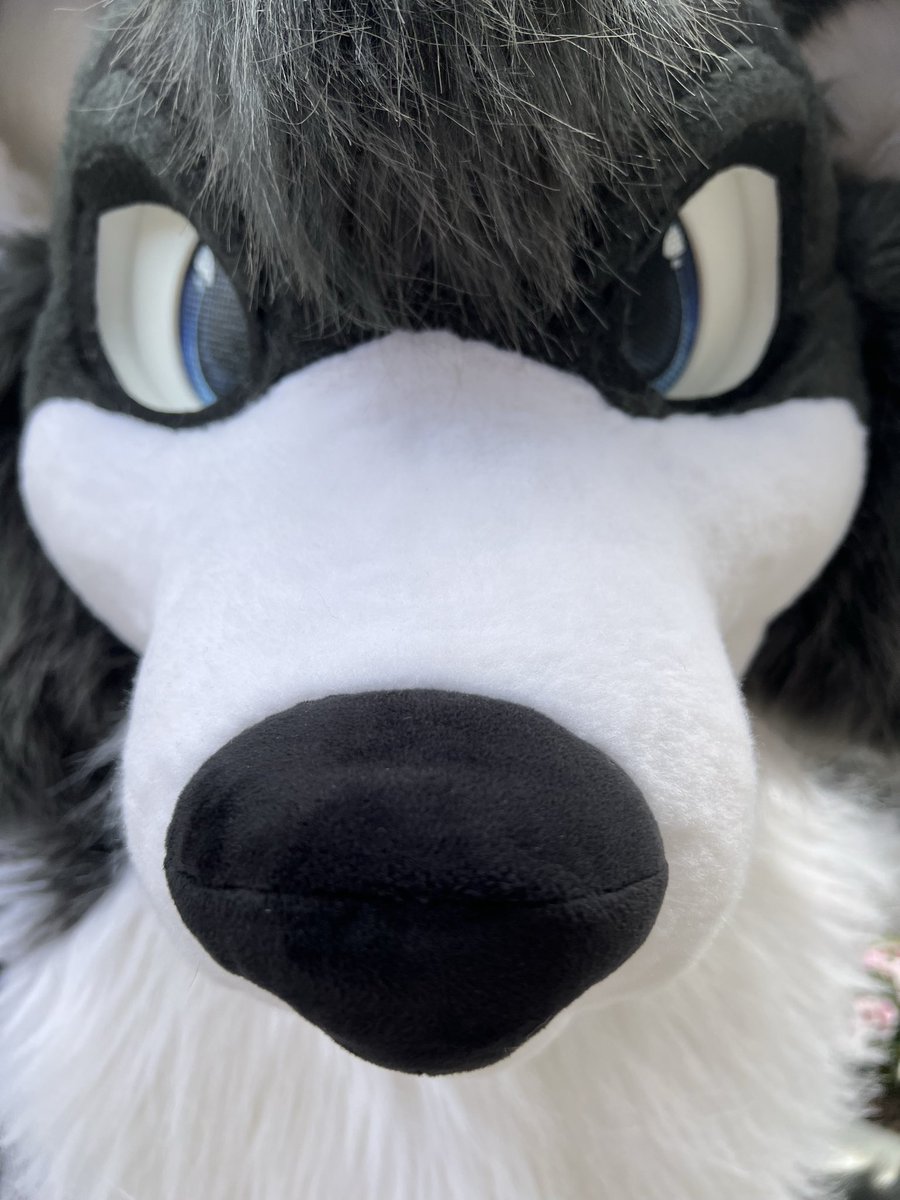 fievol_Official's tweet photo. I’ve been quiet for a bit guys but I’m back! Just having to work on life stuff. But I got a break this last weekend to go to #TFF2026! Ran into some new &amp; old friends! So much fun!

It’s good seeing this funny dog @Sandi_Colli 😄🙌 such a cute guy.🐕 https://t.co/A6HFVh6i9p