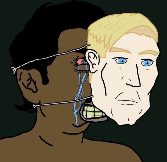 pakistani's head off blown by a marine groyper tweet media