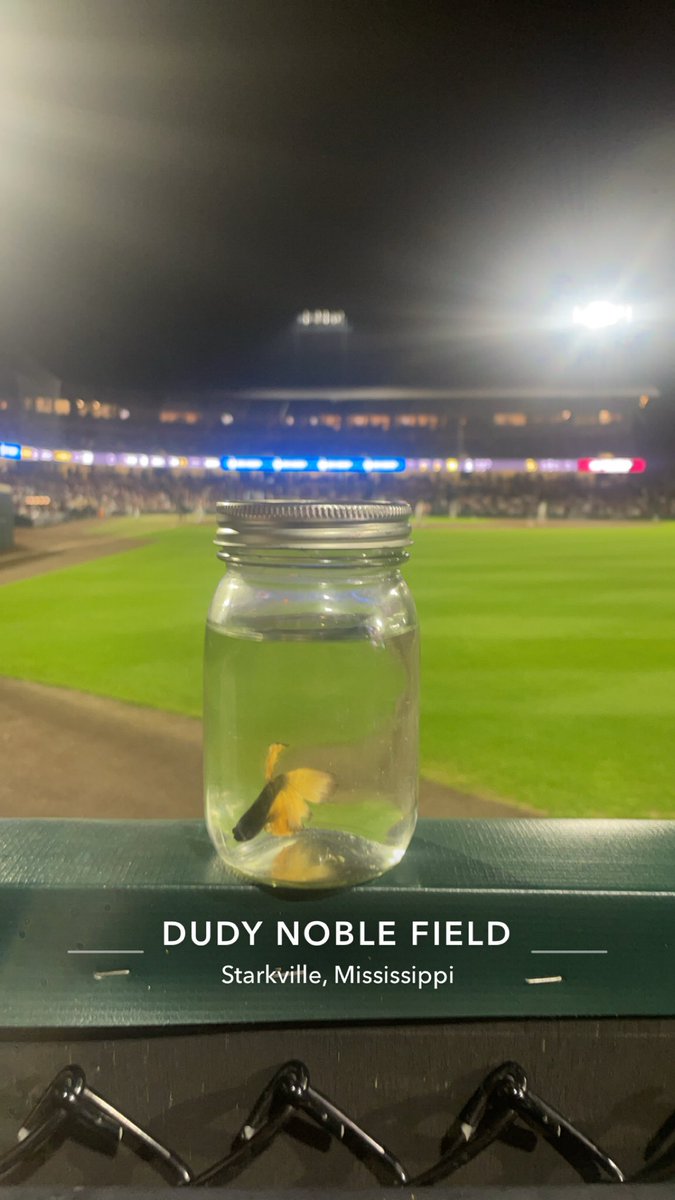 Edward “zinger” Bud tweet media