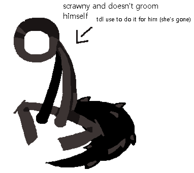 vince 🍉 tweet media