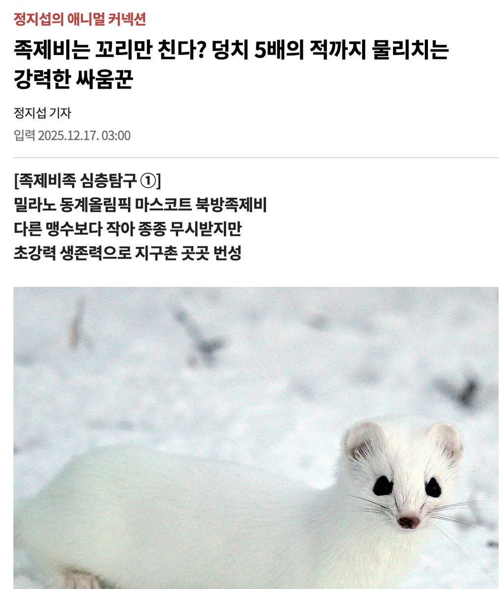 🍙🍰🏄🏽‍♂️🫂 tweet media