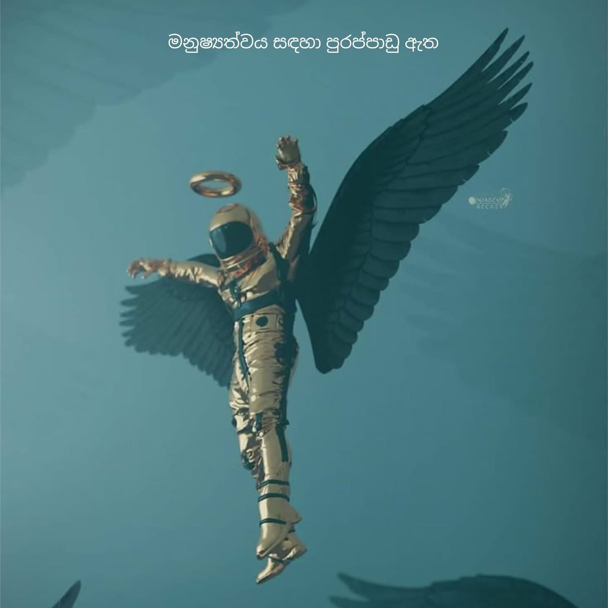 singleromeoo's tweet photo. මේ ලෝකයේ මනුෂ්‍යයින් සඳහා පුරප්පාඩු වැඩිවෙමින් පවතී 🩵 https://t.co/hRg4pCVFMi