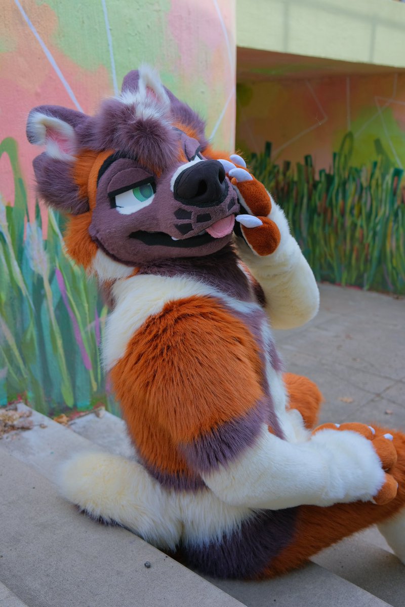 GNAW ‼️ tweet media