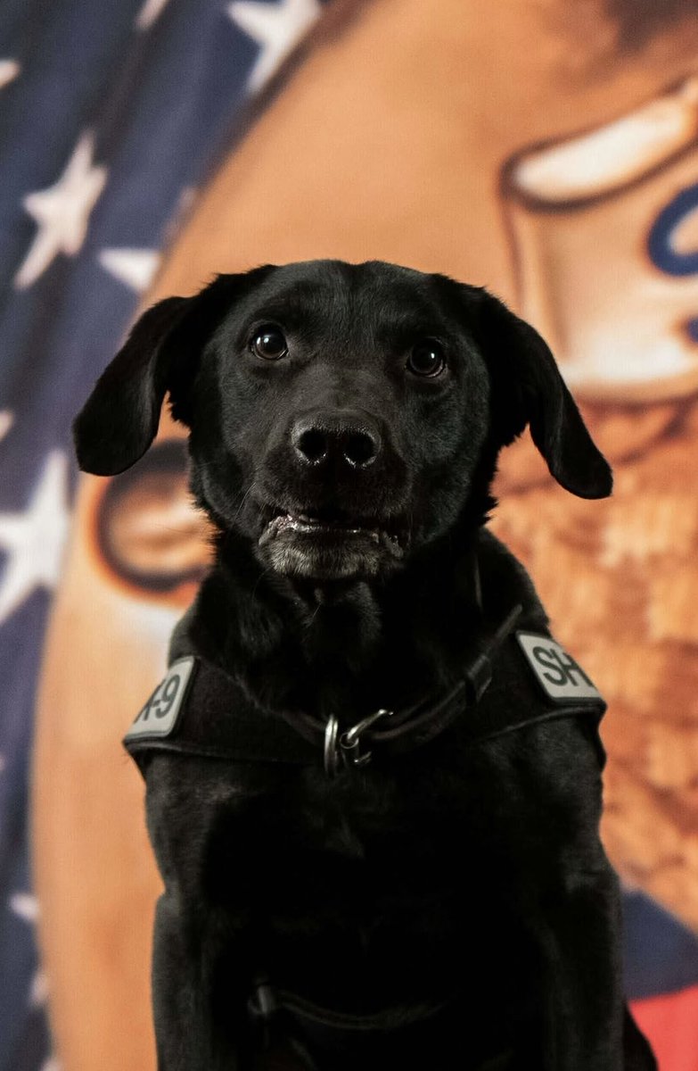 Military Support tweet media