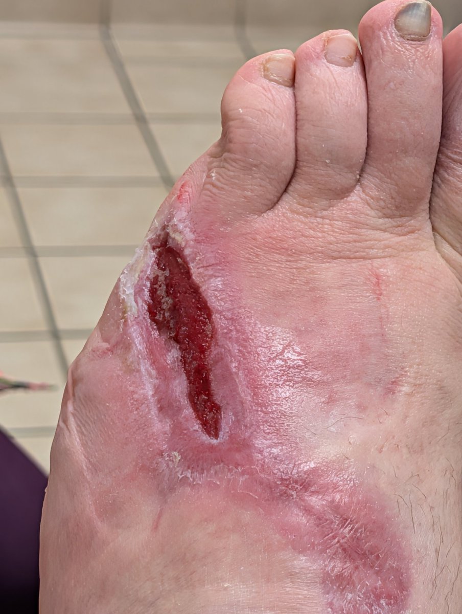 R Y N O 🦏 tweet media