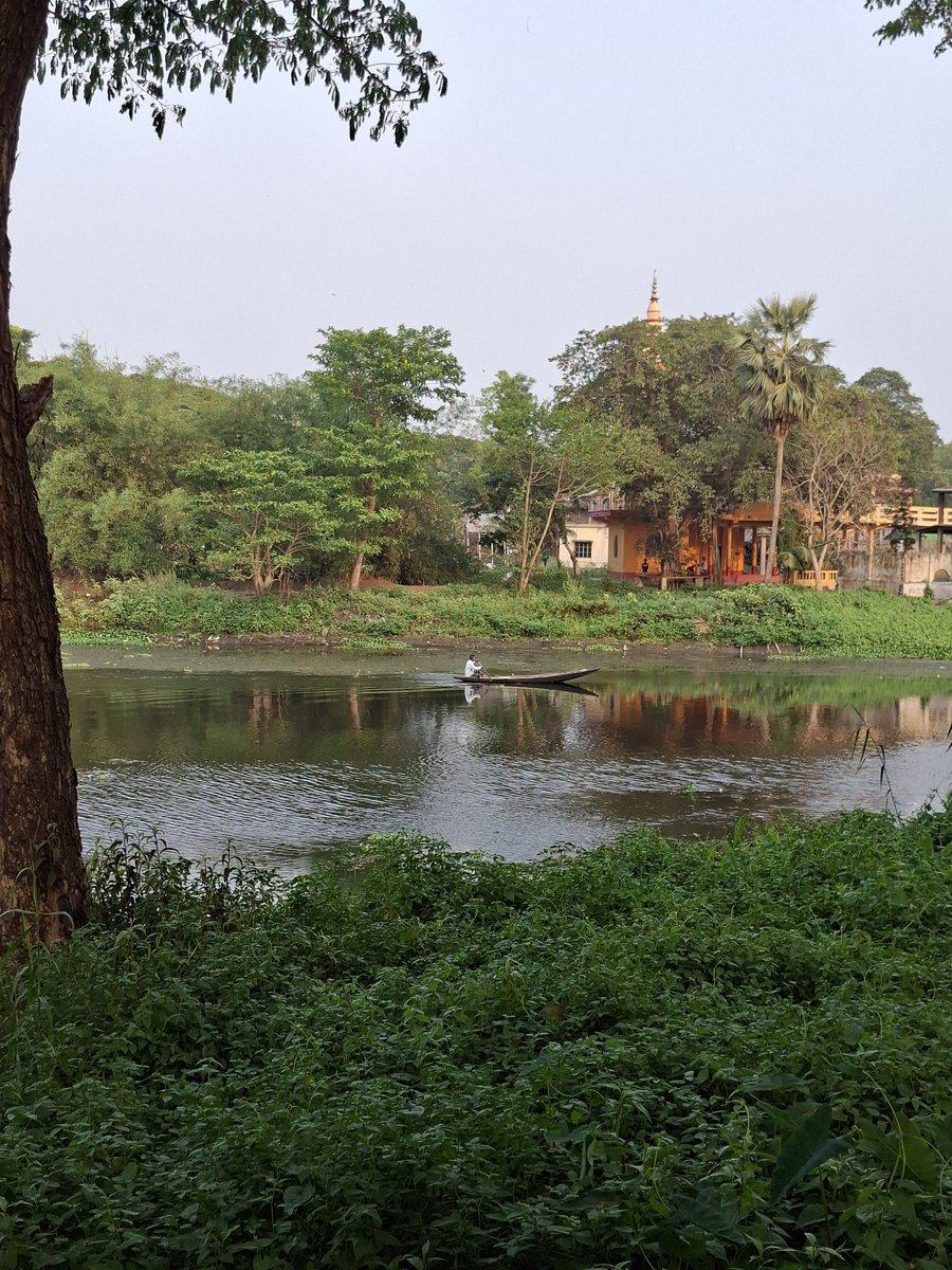 bhramar ray tweet media